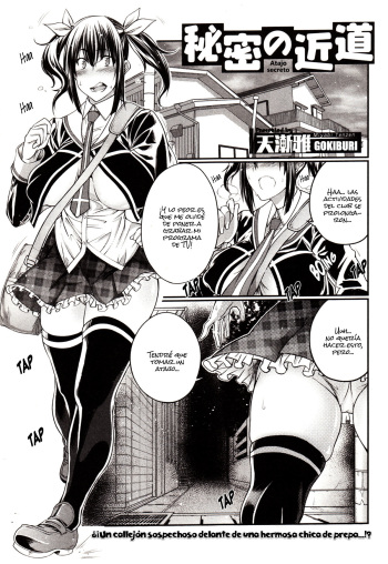 Himitsu no Chikamichi cover