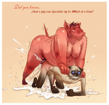 Jean-Philippe and Eddie cover