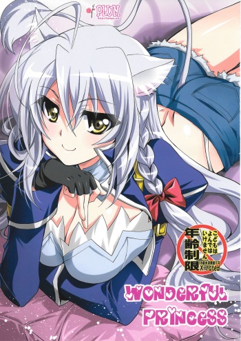 Wonderful Princess cover