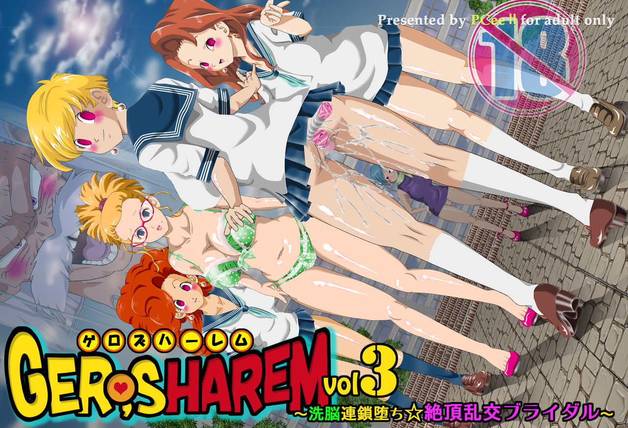 GERO's HAREM Vol 3 ~Sennou Rensa Ochi Zecchou Rankou Bridal~ page 4 full