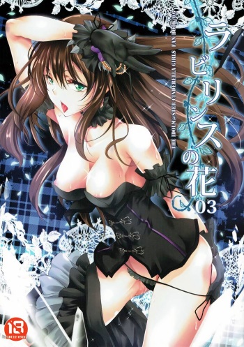 Labyrinth no Hana 03 cover