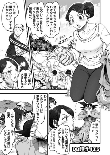 DBS #43.5 cover