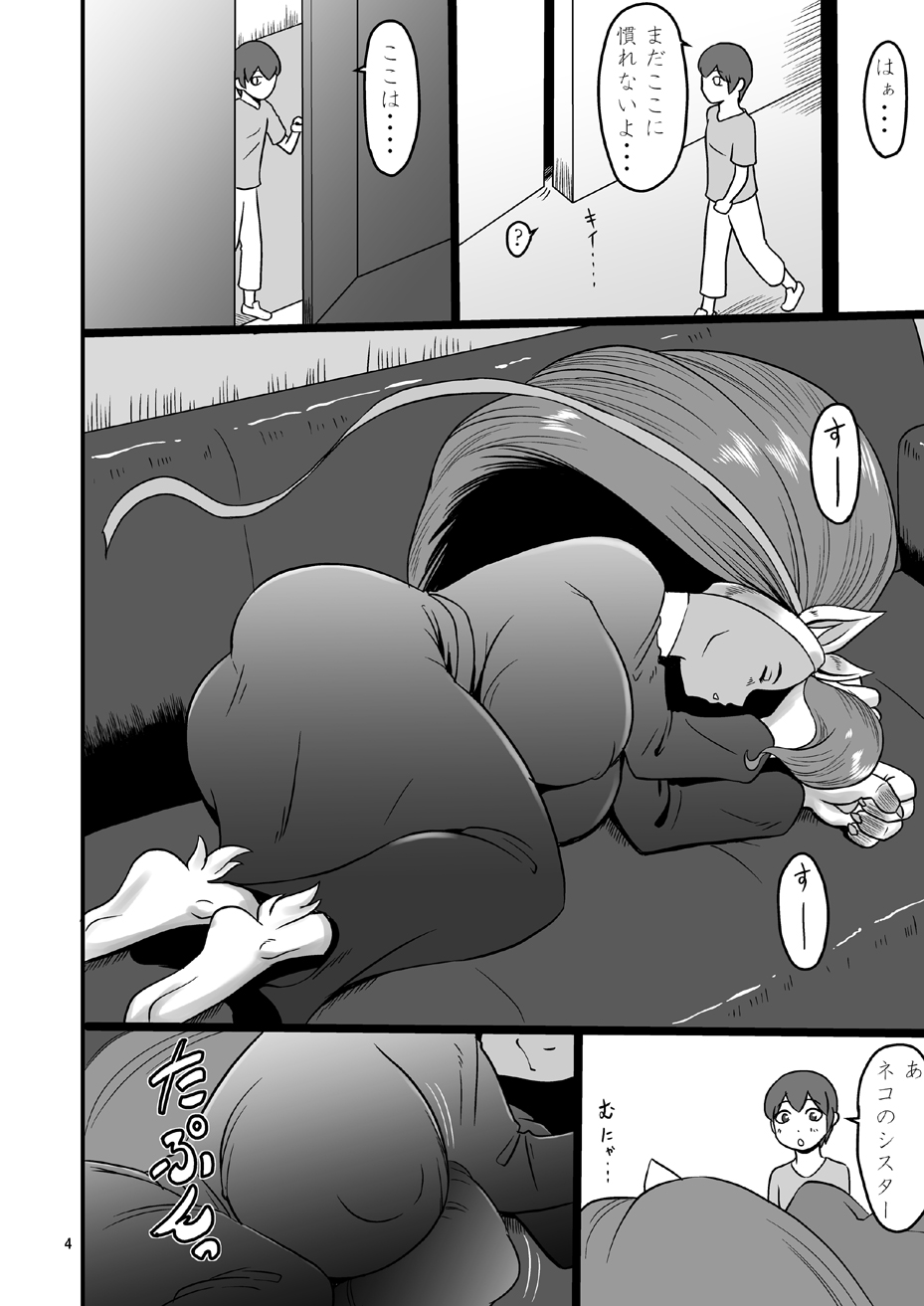 Mesu Neko Sister page 3 full