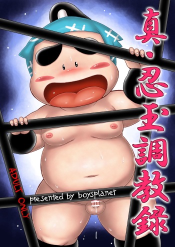 Shin Nintama Choukyouroku cover