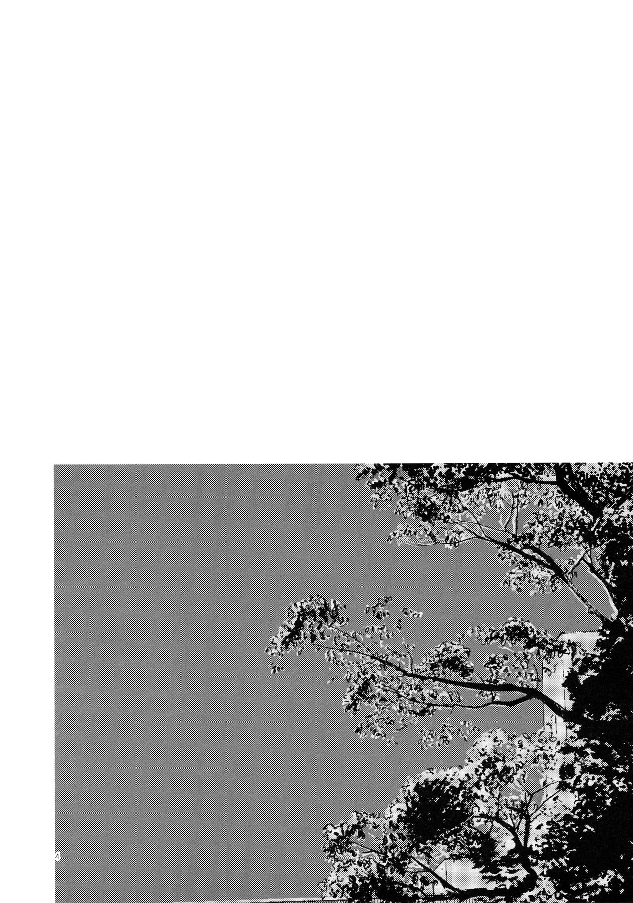 Issho ni Nete mo Ii desu ka? | May I sleep with you page 4 full