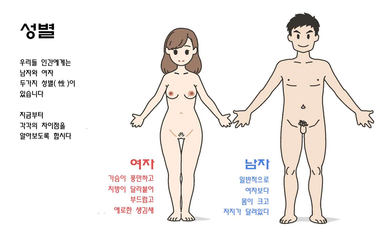 Watashitachi no Karada ~Kodomo ga Dekirushikumi~ | 남자와 여자의 몸구조 ~아기가 생기는 구조~ page 3 full