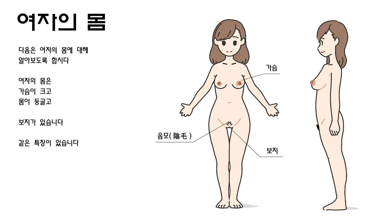 Watashitachi no Karada ~Kodomo ga Dekirushikumi~ | 남자와 여자의 몸구조 ~아기가 생기는 구조~ page 8 full