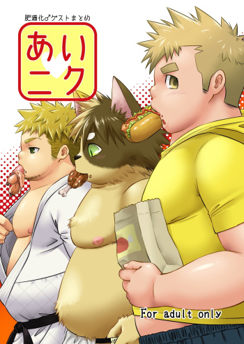 Ai Niku cover