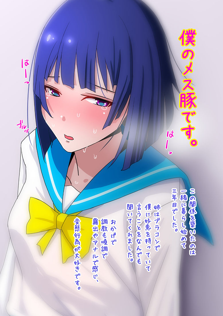 Hatsujouchuu no Nee-san no Osaekata - Mesubuta Choukyou Zumi page 4 full
