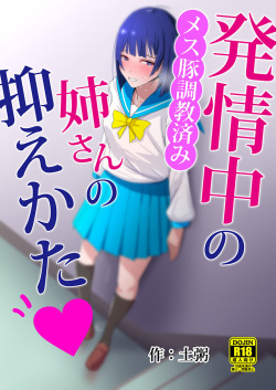 Hatsujouchuu no Nee-san no Osaekata - Mesubuta Choukyou Zumi