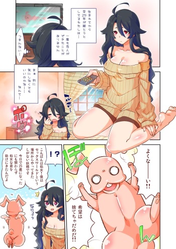 Baka Ero Manga + Omake cover
