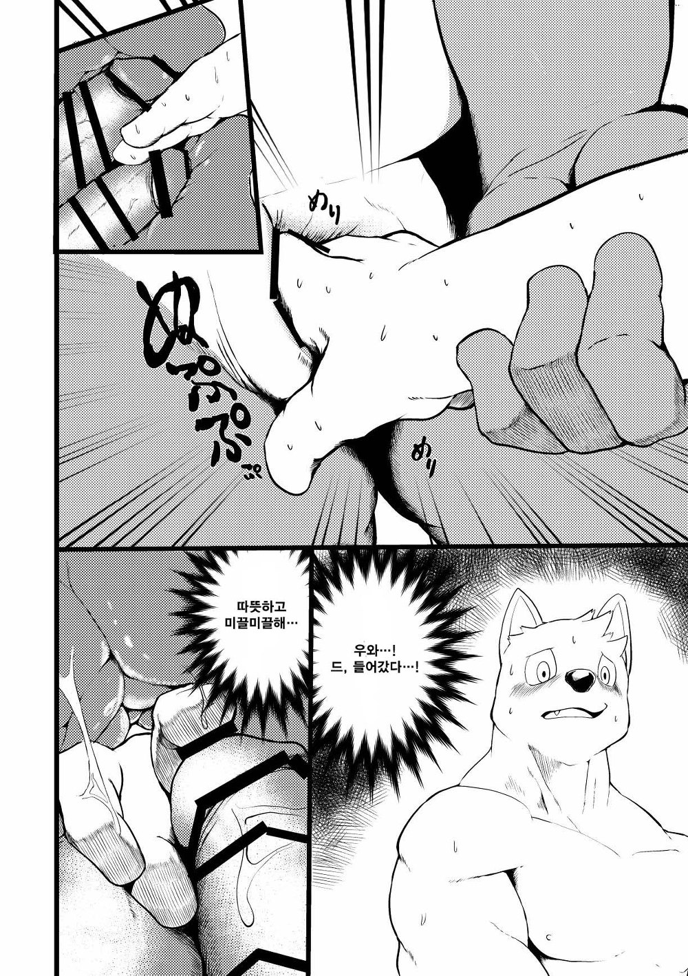VETERAN LIFESAVER 1.5 page 4 full