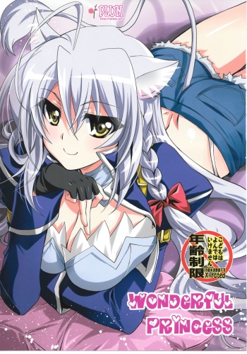 Wonderful Princess cover