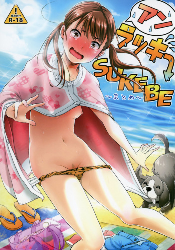 Unlucky SUKEBE ~Matome~ cover