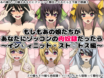 Moshimo Anoko-tachi ga Anata ni Zokkon no Nikudorei dattara ~Infinite Stratos Hen~ cover