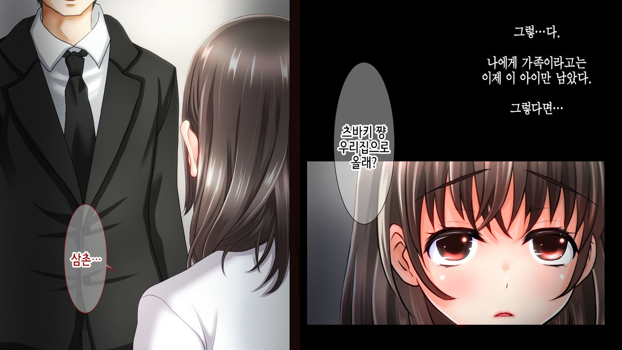 Ane no Wasuregatami no Mei o Ore wa Okashita ~Zenpen~ | 누나가 죽고 남긴 조카를 나는 범했다 ~전편~ page 10 full