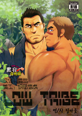 LOW TRIBE cover