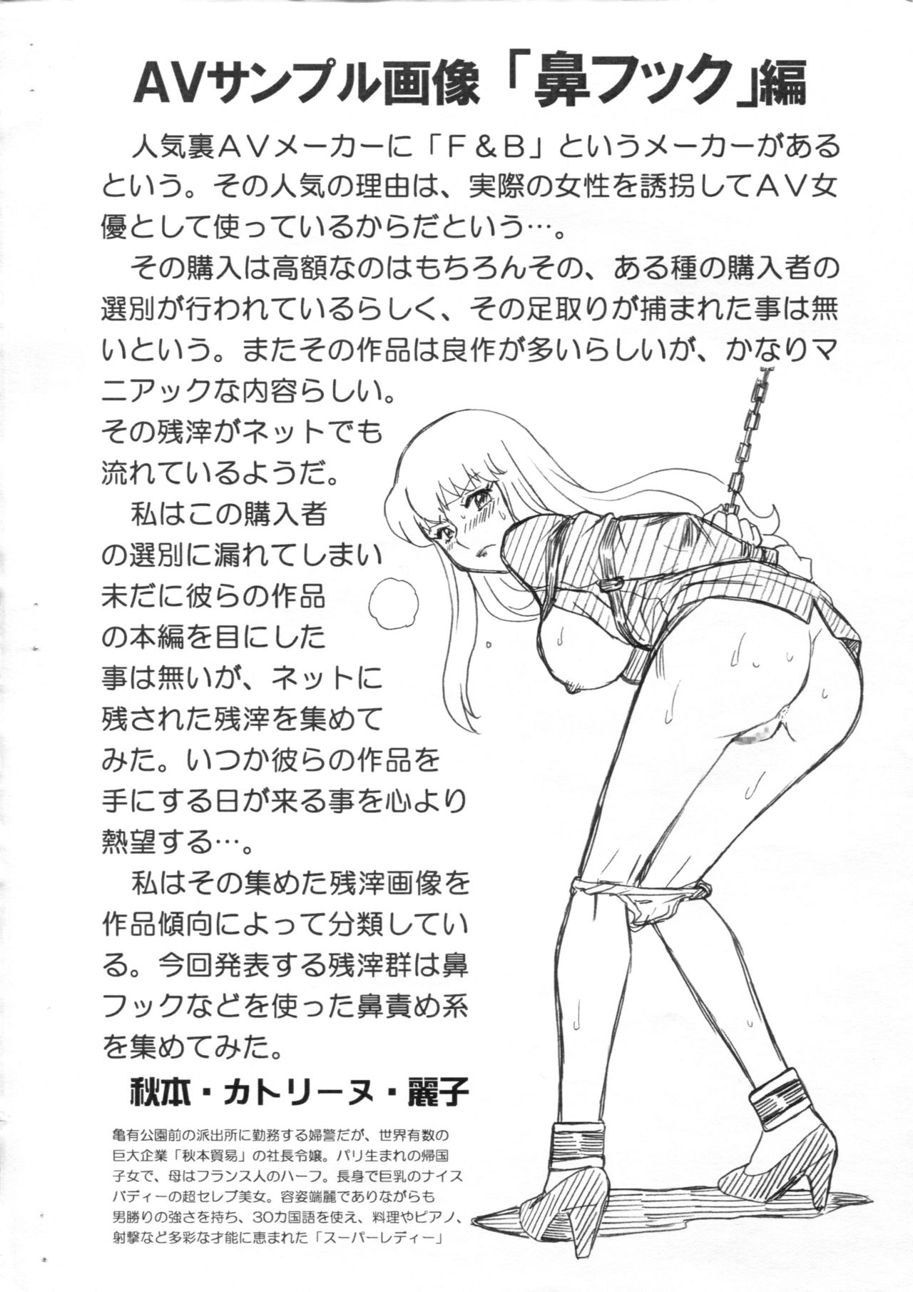 F&amp;B AV Sample File Akimoto Katherine Reiko Gazoushuu page 2 full
