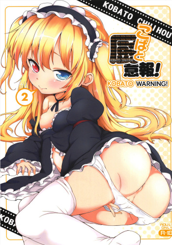Kobato Chuihou! Ni | Kobato Warning! 2 cover