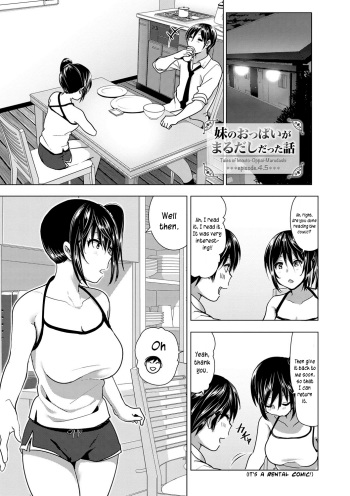 Imouto no Oppai ga Marudashi Datta Hanashi 4.5 cover
