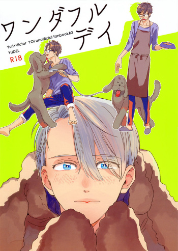 Wonderful Day cover