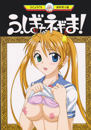 Fushigi Na Negima! cover