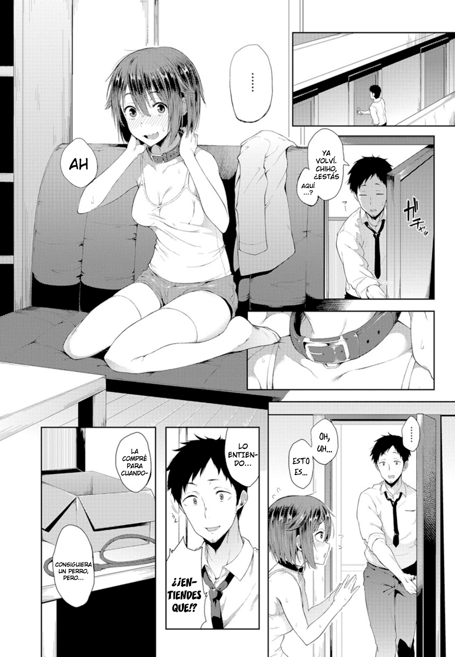 Wonder Collar page 2 full