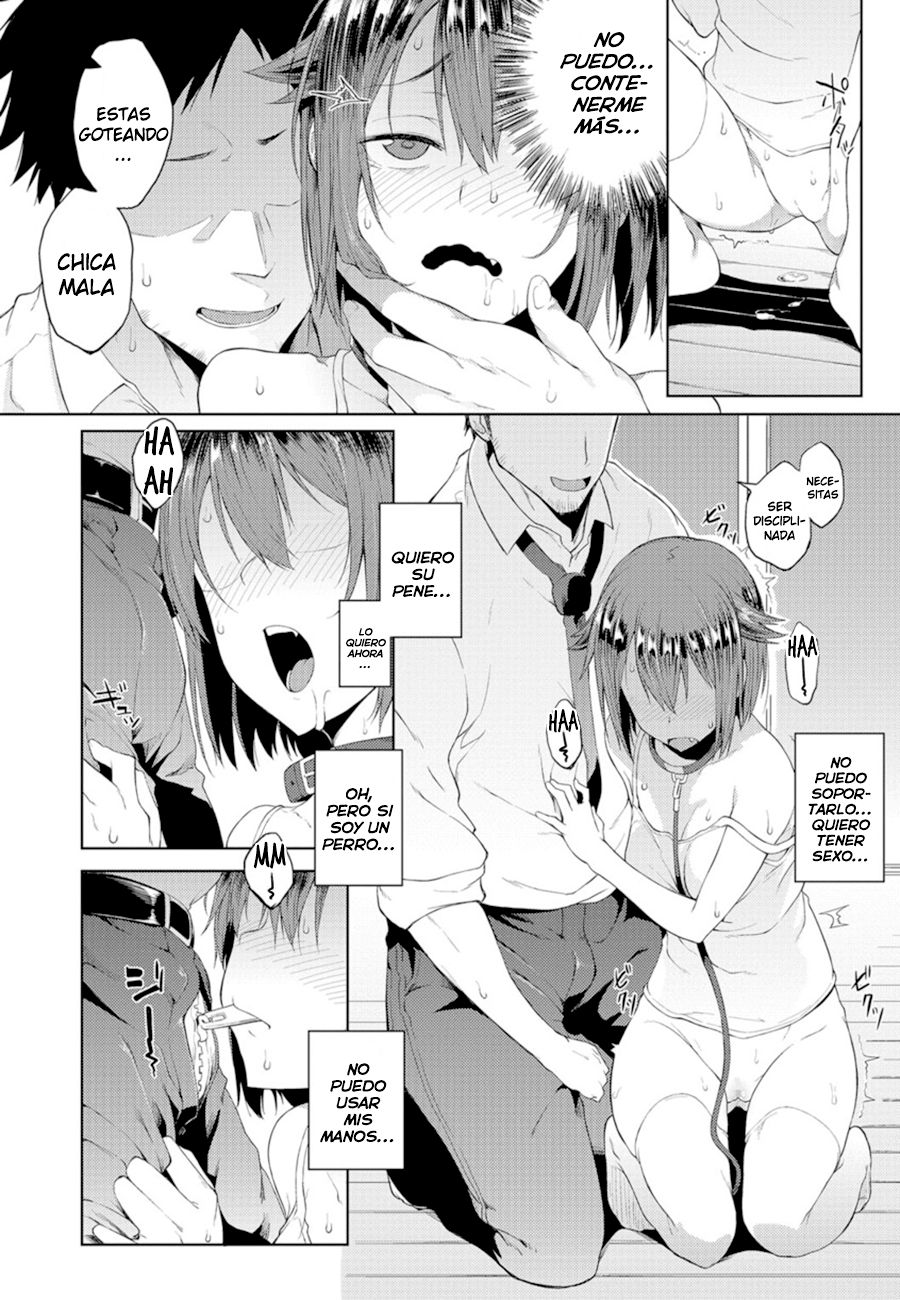 Wonder Collar page 8 full