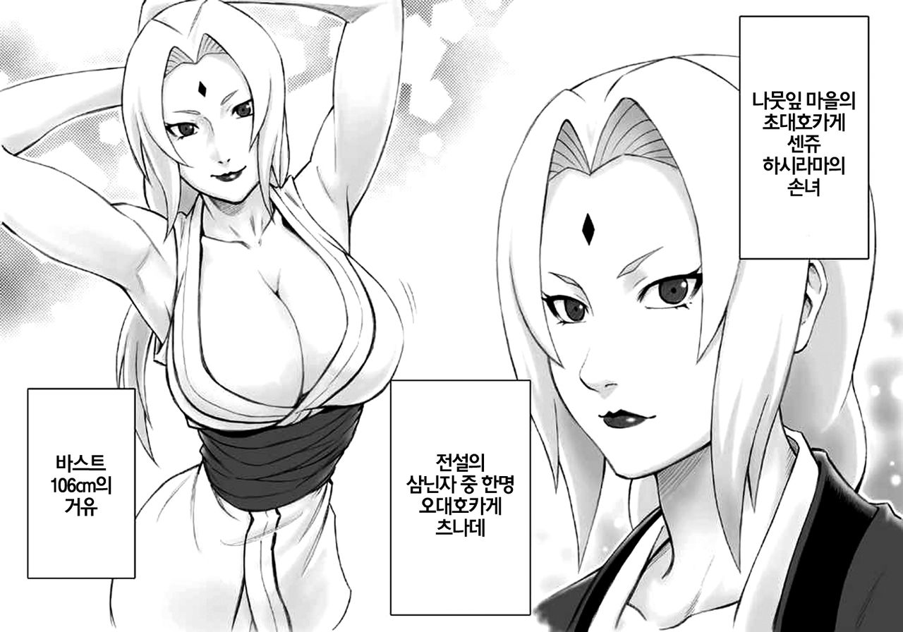 Akogare no Tsunade-sama o Zettai Haramasetai! | 동경하는 츠나데님을 절대로 임신시키고 싶어! page 3 full