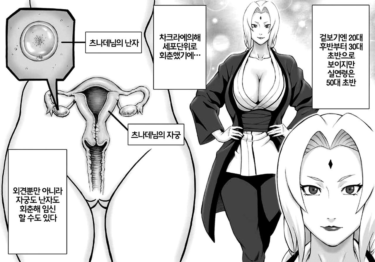 Akogare no Tsunade-sama o Zettai Haramasetai! | 동경하는 츠나데님을 절대로 임신시키고 싶어! page 4 full