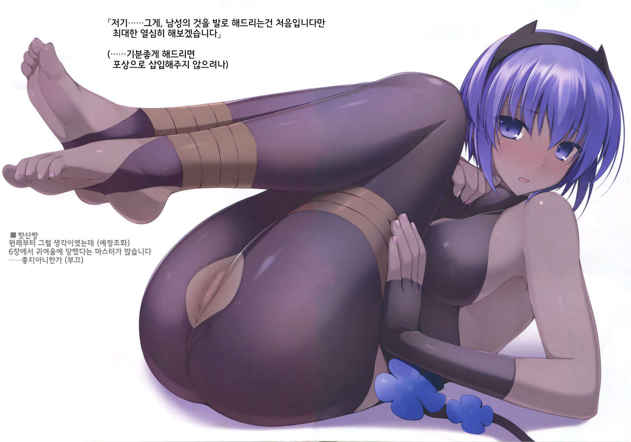 FGO no Ashibon 4 | FGO의 발 패치책 4 page 10 full
