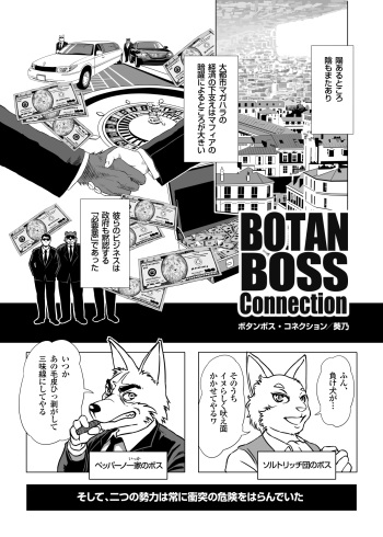 Botan Boss Connection cover