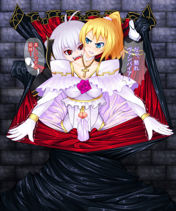 吸血される姫騎士 cover