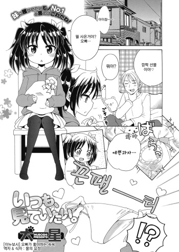 Onii-chan Suki na Shitagi cover