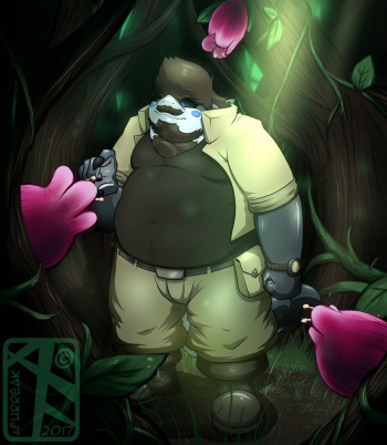 Bliss Woods cover