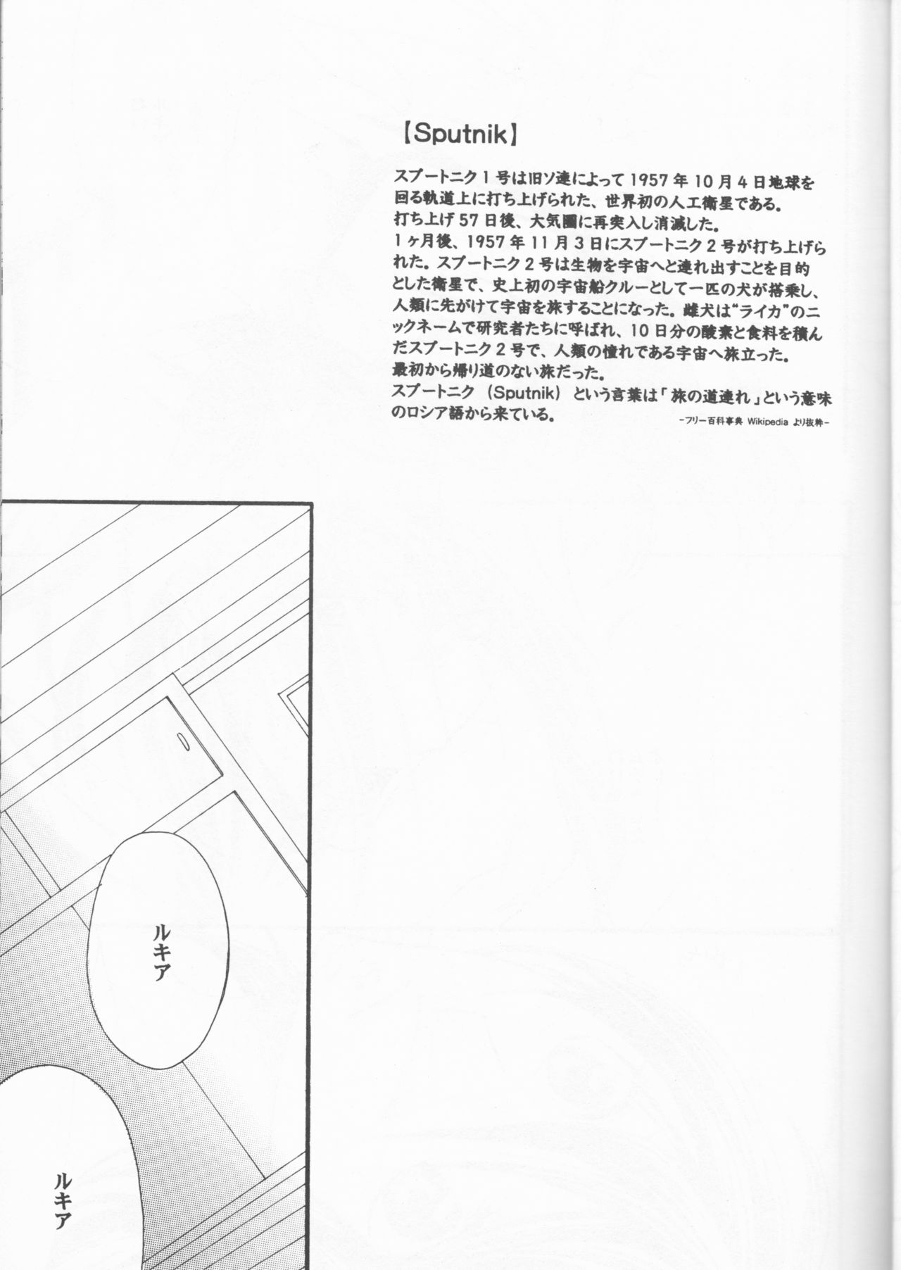 Sputnik Introduction page 9 full