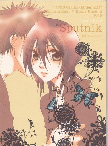 Sputnik Introduction cover