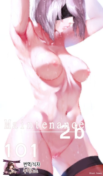 Maintenance 2B  - 101 cover