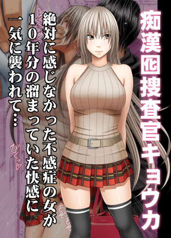Chikan Otori Sousakan Kyouka ~Zettai ni Kanjinakatta Fukanshou no Onna ga 10-nen-bun no Tamatte ita Kaikan ni Ikki ni Osowarete...~ cover