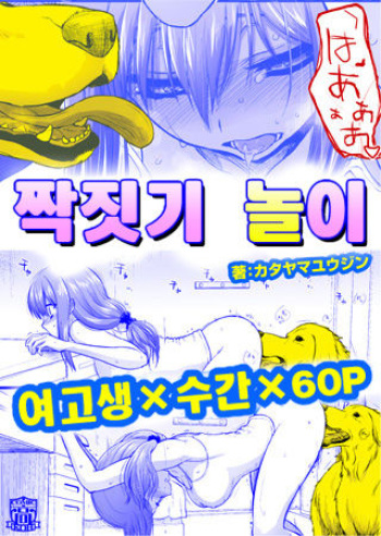 Tsugai Asobi cover