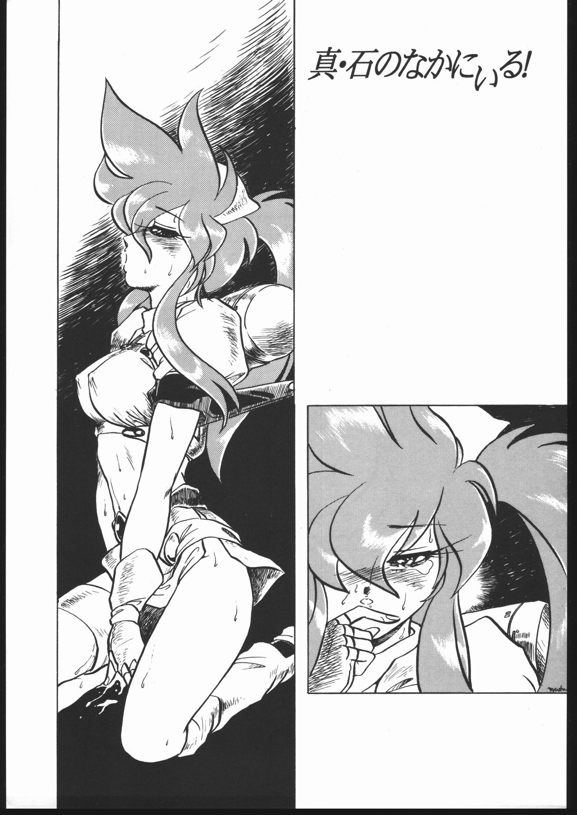 Shin ishi no naka ni iru! page 2 full