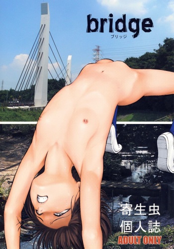 Bridge cover