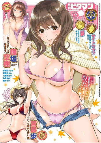 Monthly Vitaman 2017-12 cover