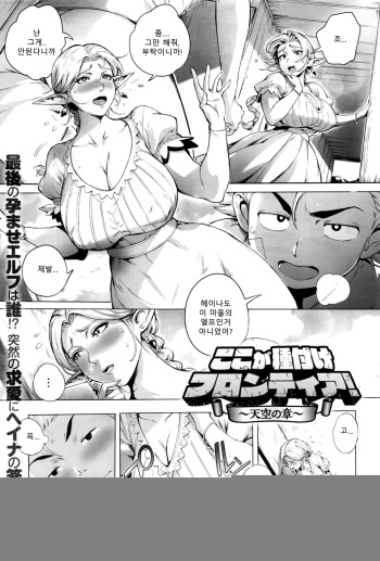 Koko ga Tanetsuke Frontier! ~Tenkuu no Shou~ cover