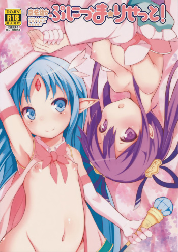 Puella Magi Pnisma Reset! cover