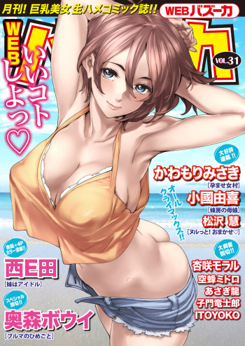 WEB Bazooka Vol. 31 cover