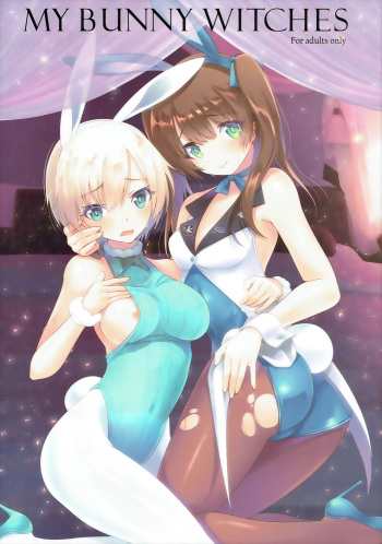MY BUNNY WITCHES cover
