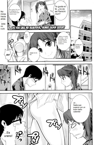 Kirei de Yarashii Oneesan wa, Suki Desuka? | Do You Like My Beautiful, Horny Older Sister? cover