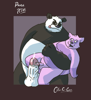 artist - Cotton Candy Coon cover