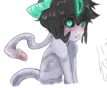 넷캔 cover